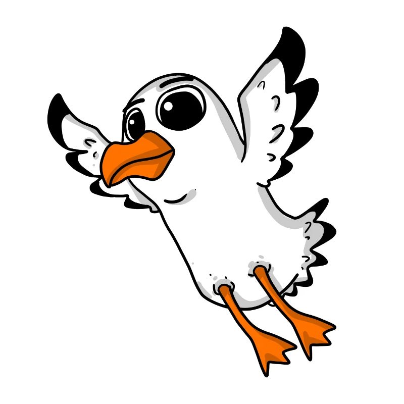 Oiseau mouette