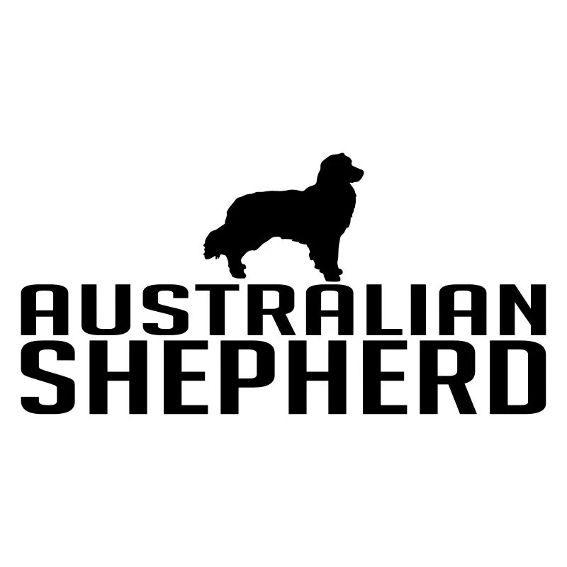 AUSTRALIAN SHEPHERD dog