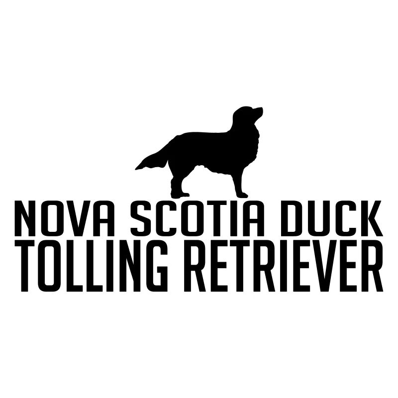 NOVA SCOTIA DUCK TOLLING RETRIEVER Dog