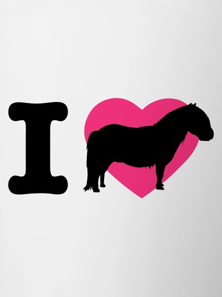 I love Shetty's ponies