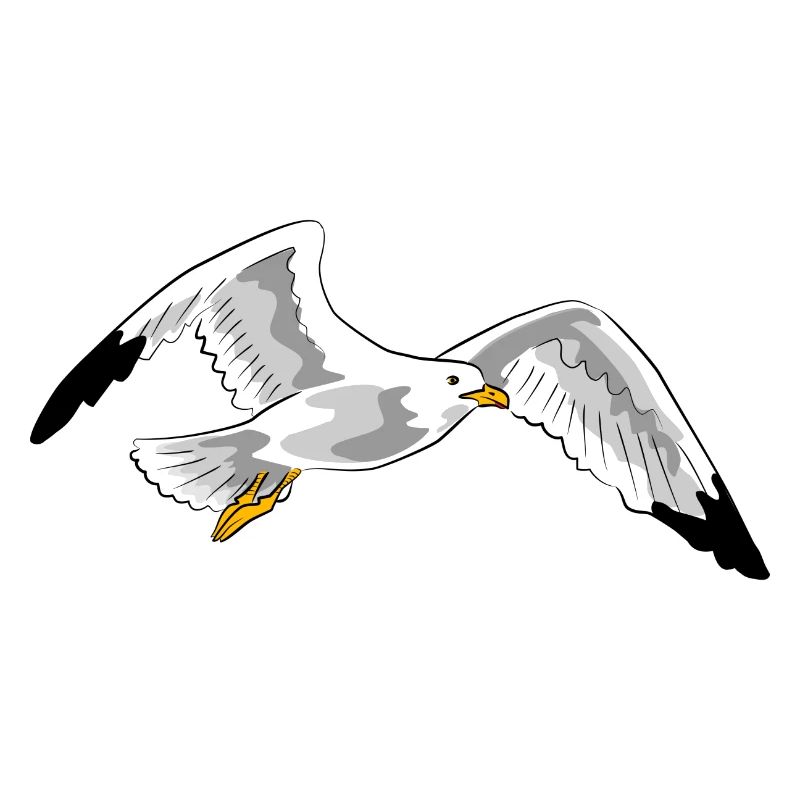 fliegende moewe urlaub fliegen