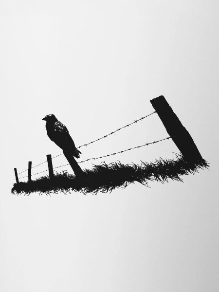 Raven Crow Fence Fence Pole