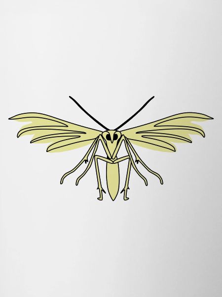 Feather moth