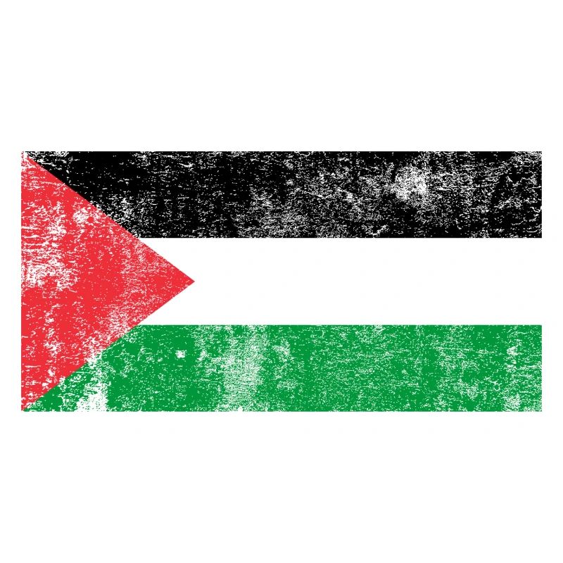 Drapeau de la Palestine drapeau Grunge Retro Vintage