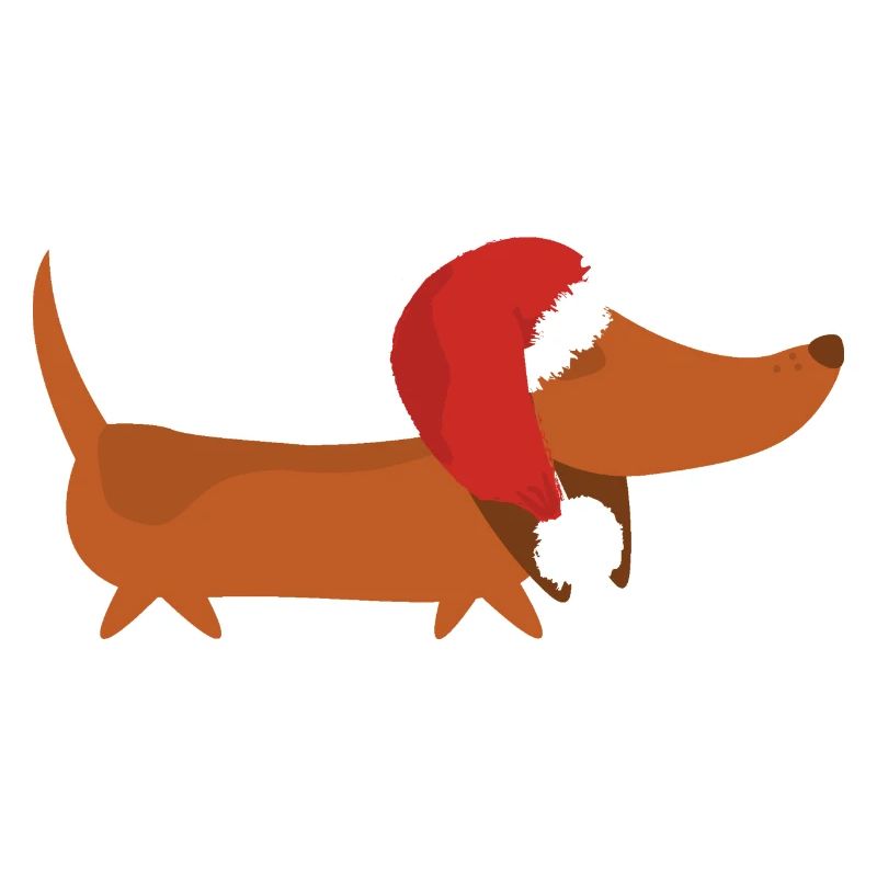 Teckel avec chapeau de Noël