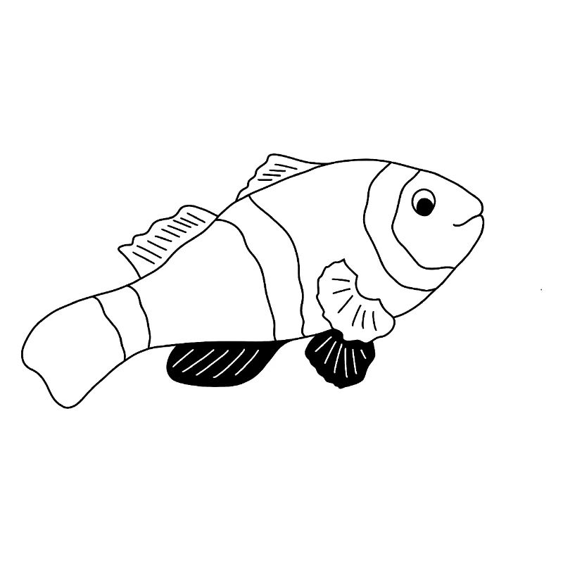Poisson-clown - Graphique noir et blanc