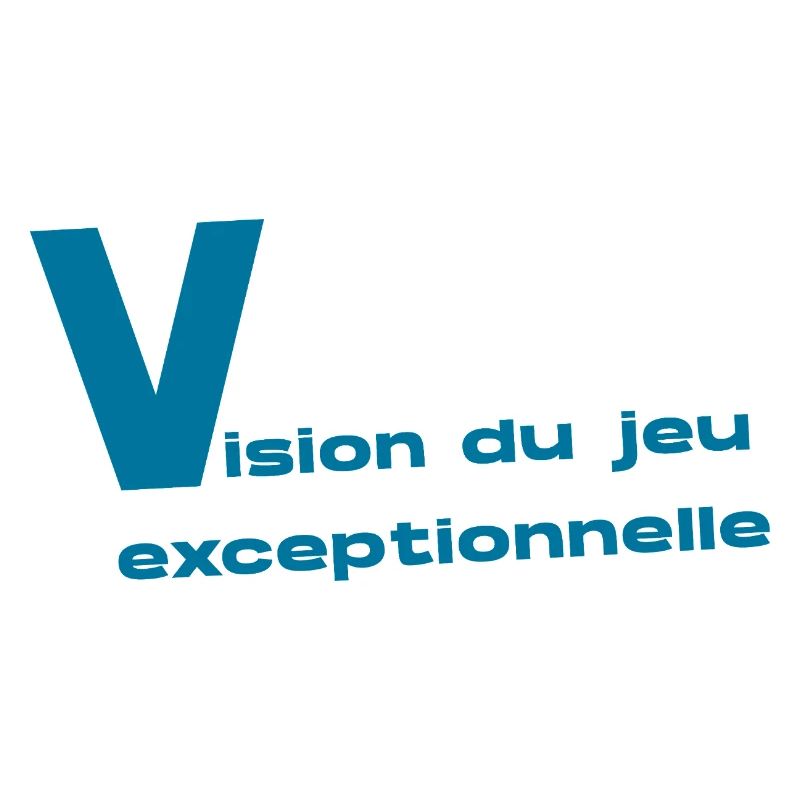 Vision du Jeu
