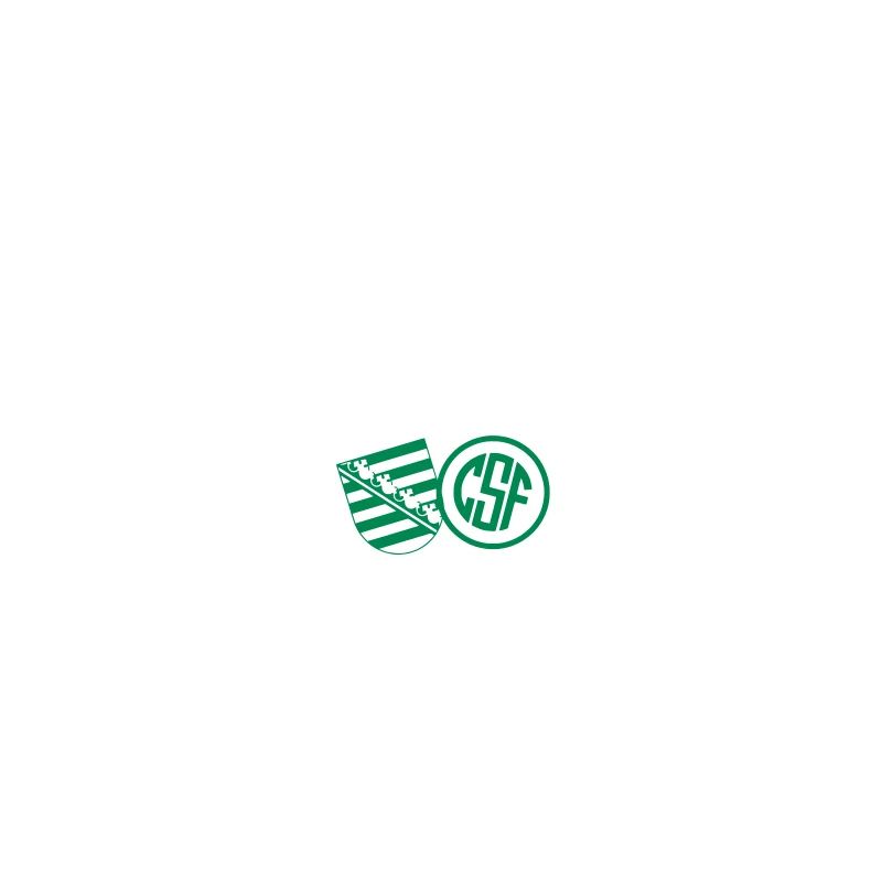 Sgladschdglei