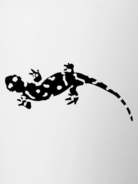 Salamander