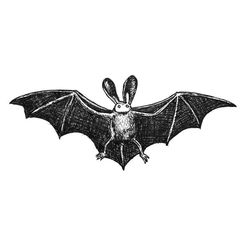 Bat