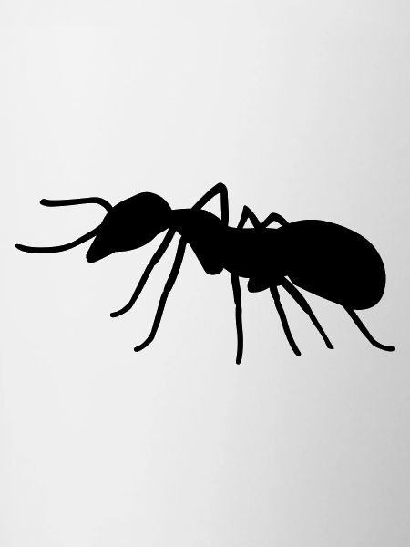 Ant