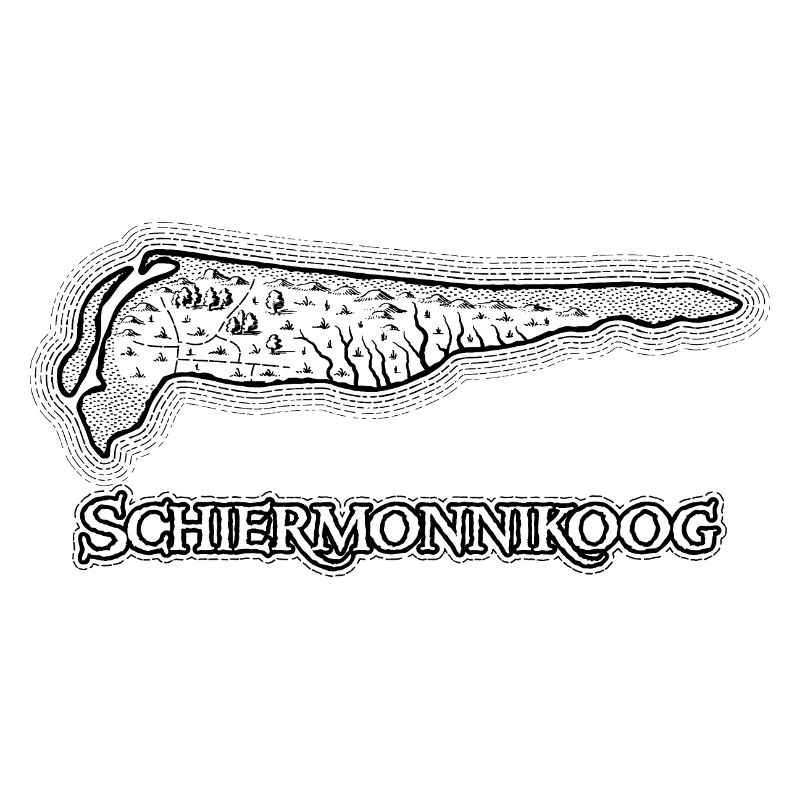 Schiermonnikoog | Antique map | Treasure map