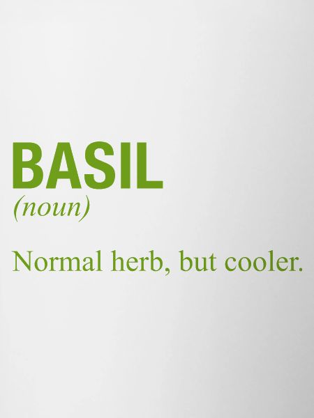 BASILIC Basilikum