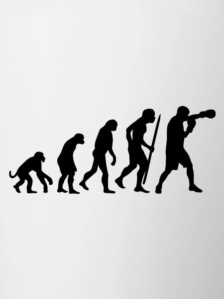 Evolution de la boxe