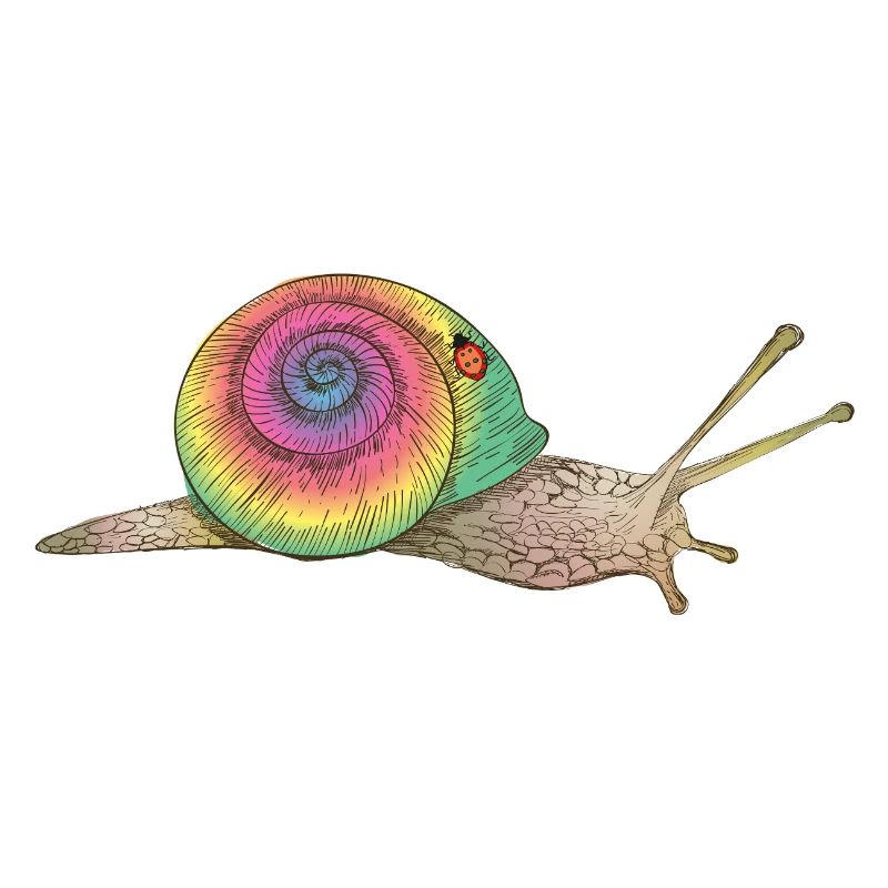 colorful snail with rainbow shell