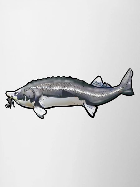 Grubbed Kelfish Tail Pattern