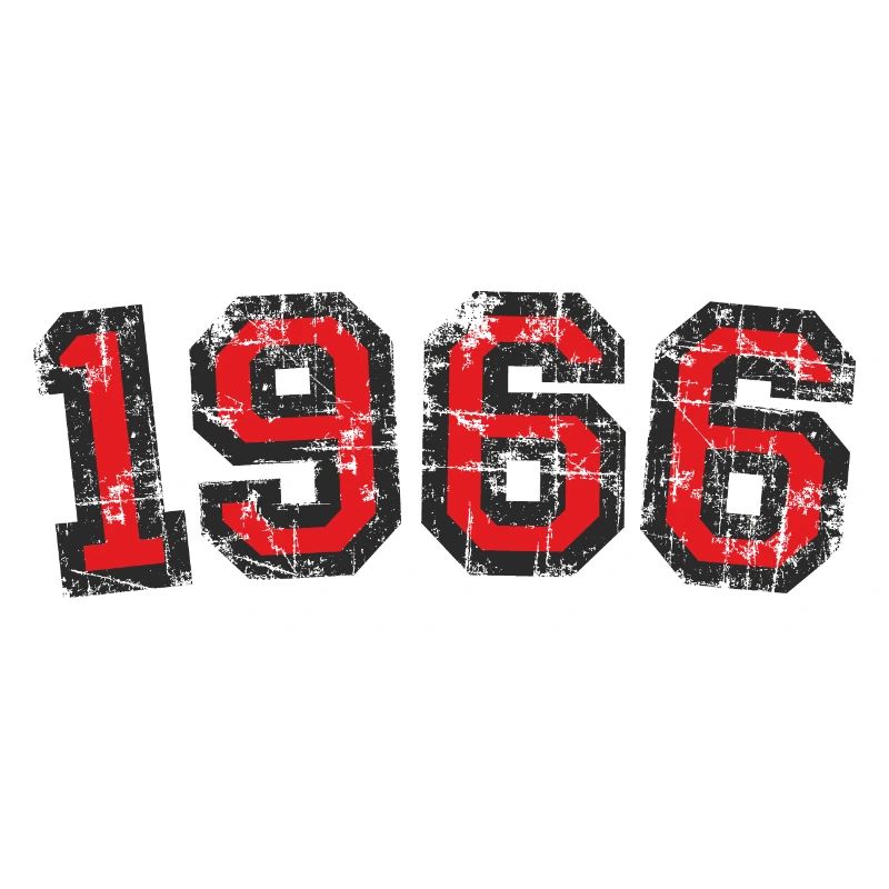Né en 1966 Anniversaire Année