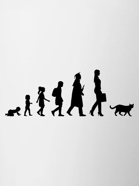 Development of the cat owner