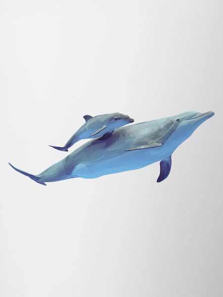 Dolphin