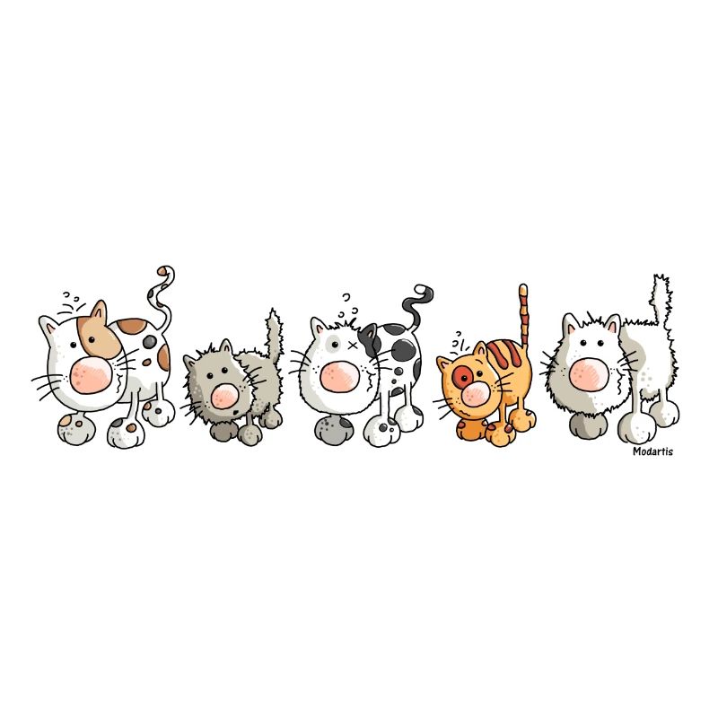 Funny Cats - Katzen