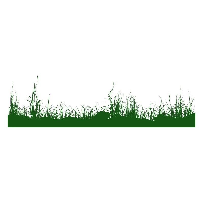 Herbe, sol, prairie, prairie herbeuse