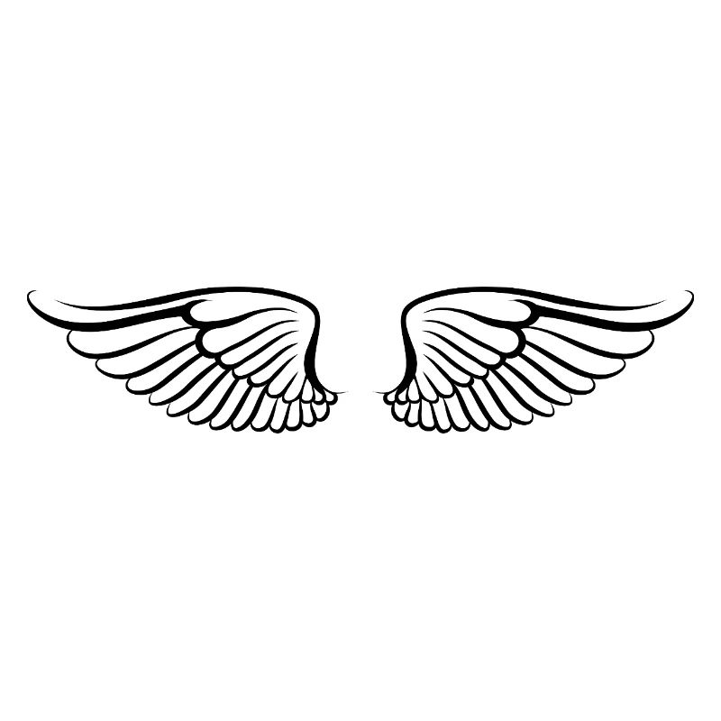Les ailes