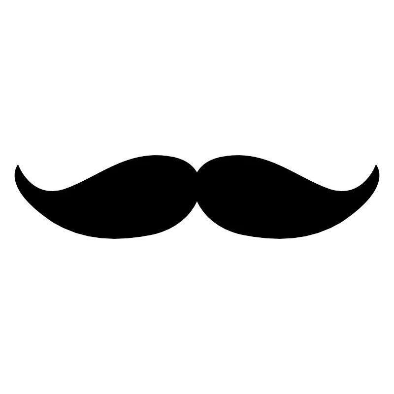 Walrus moustache