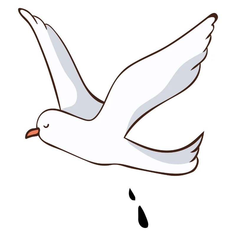 gull