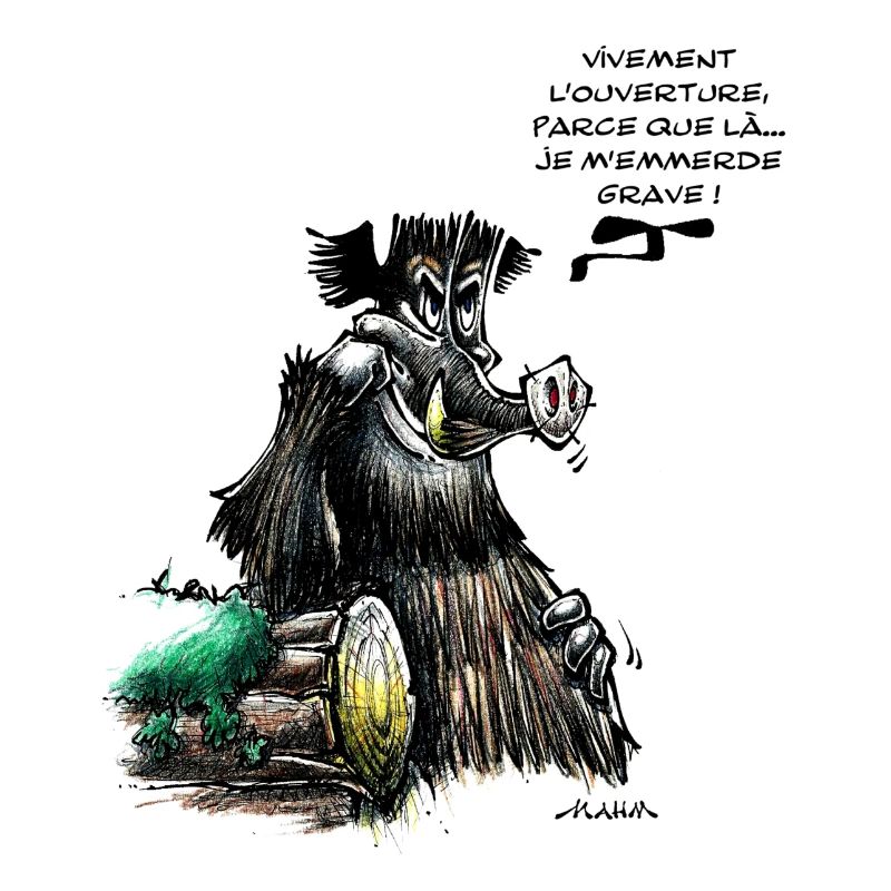 Sanglier, Vivement L'Ouverture...