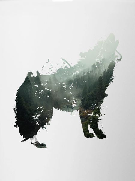 Der Wolf ist der Wald