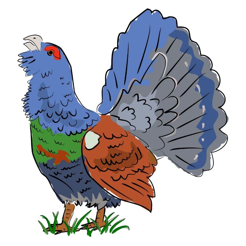 Magnifique grand tétras dans un éclat de couleurs