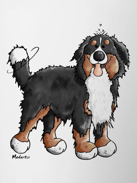 Happy Bernese Mountain Dog