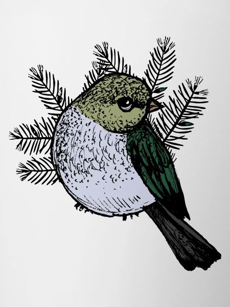 Bird Drawing with Fir Branches