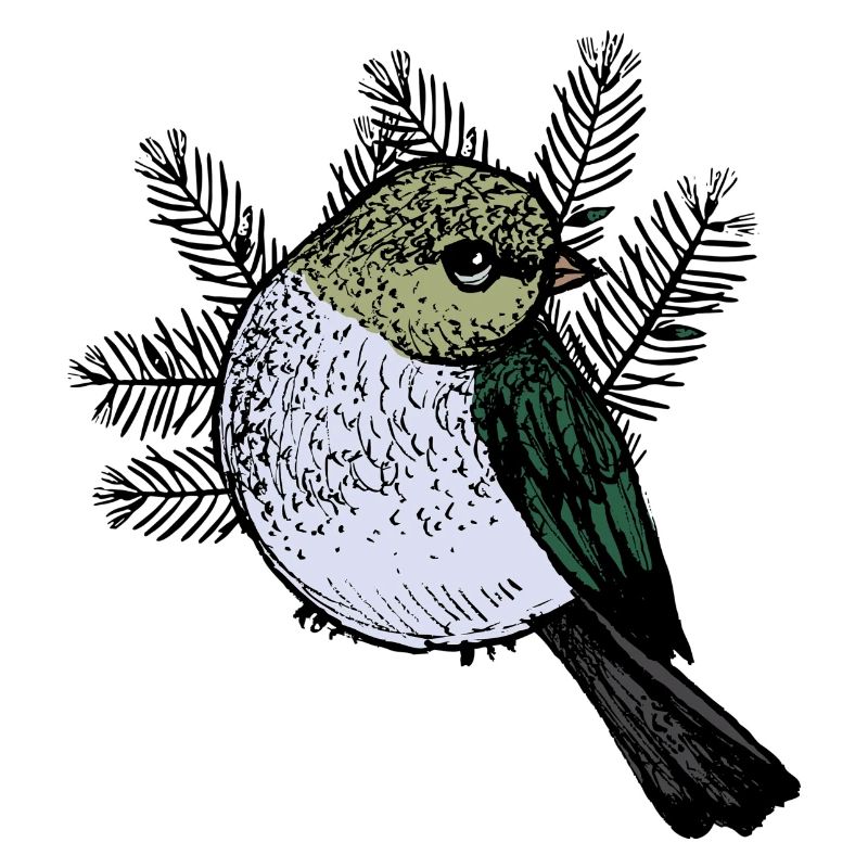 Vogel Zeichnung mit Tannenzweigen