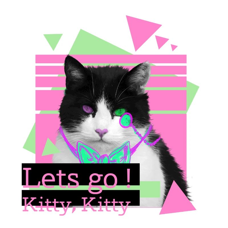 Lets go kitty, kitty
