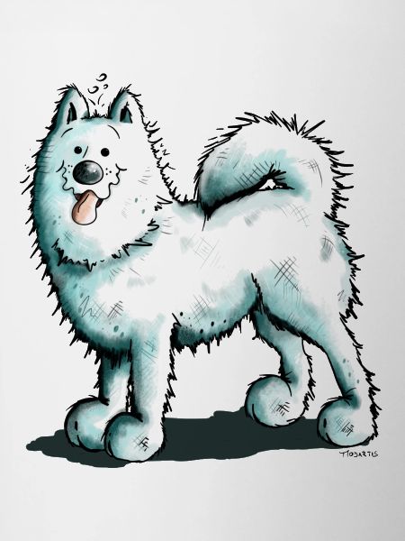 Sammy Samoyed - Samoyède