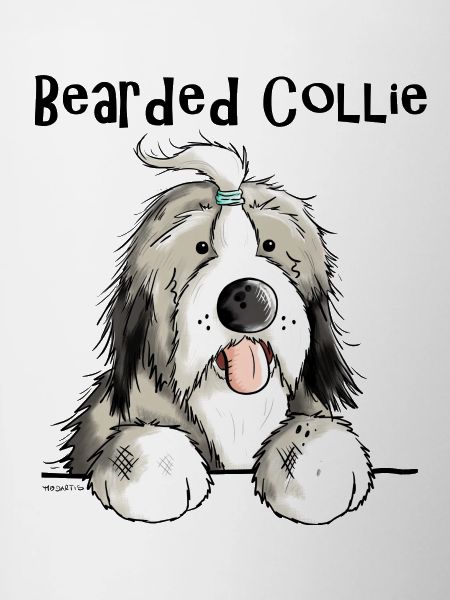 Mignon Bearded Collie