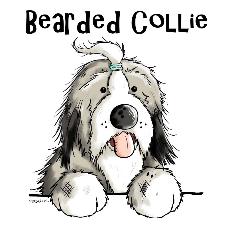 Mignon Bearded Collie