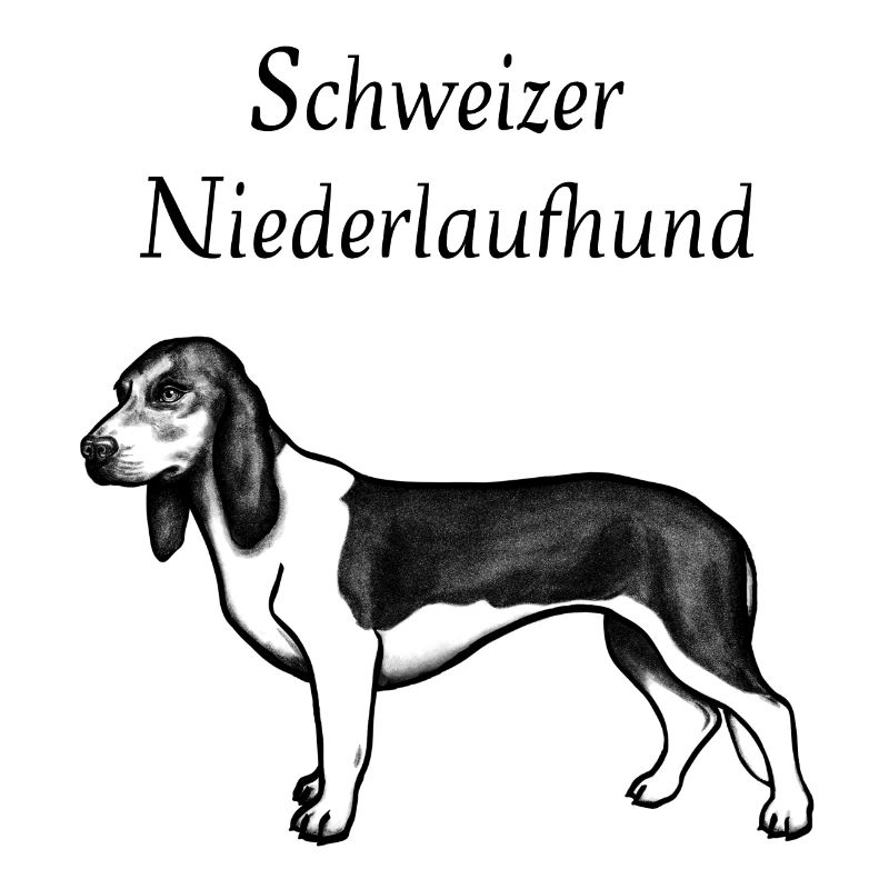 Chien de basse-course suisse