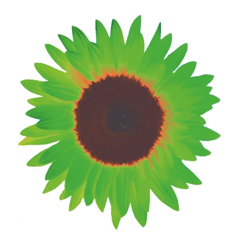 sunflower green