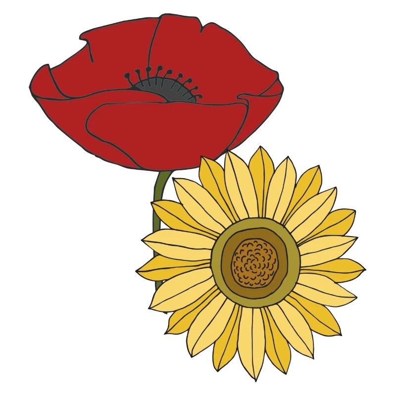 mohn sonnenblume