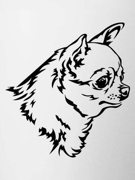 Chihuahua Head