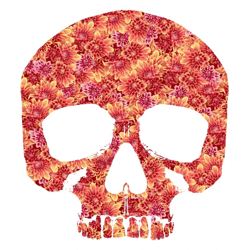 Skull with flowers