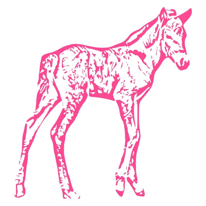 Cheval rose rose