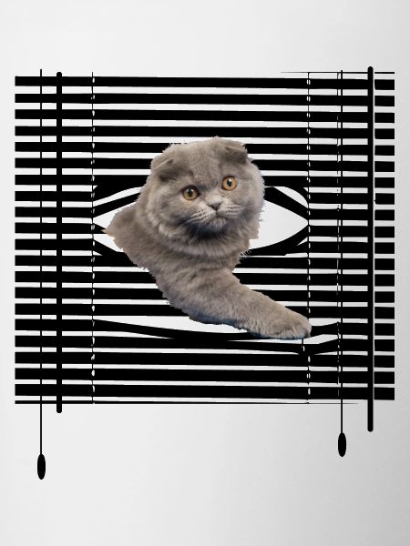 Mon chat s'évade