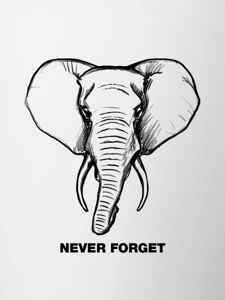Elephant - Never forget