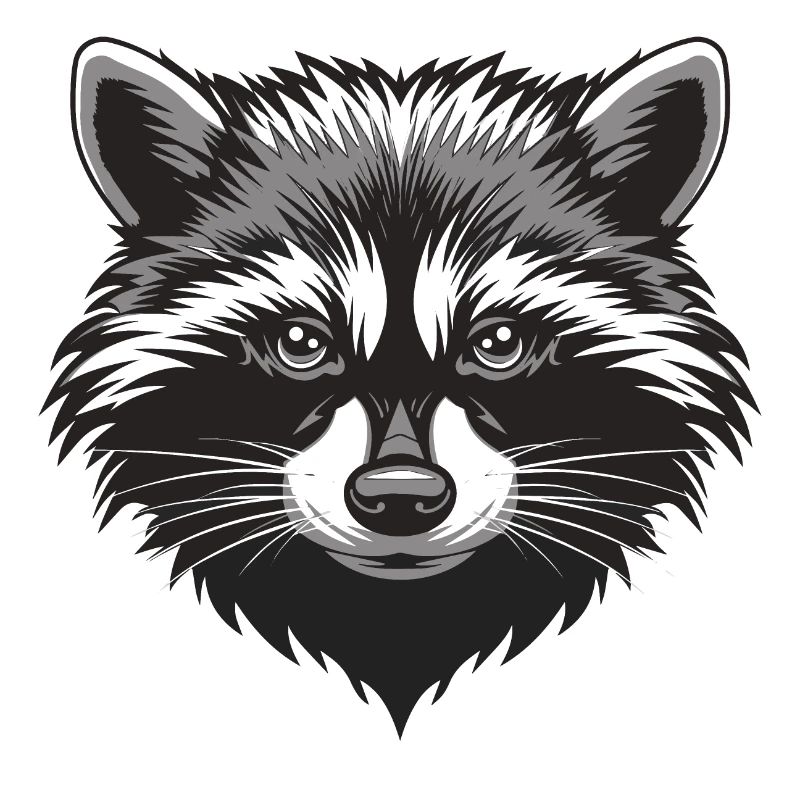 Waschbär