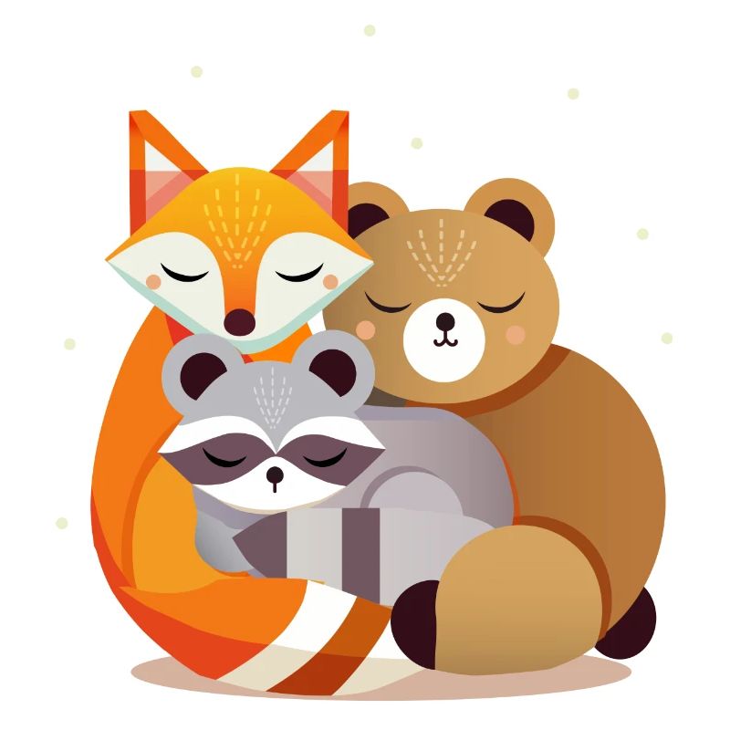 Sleeping forest animals – fox, bear and raccoon