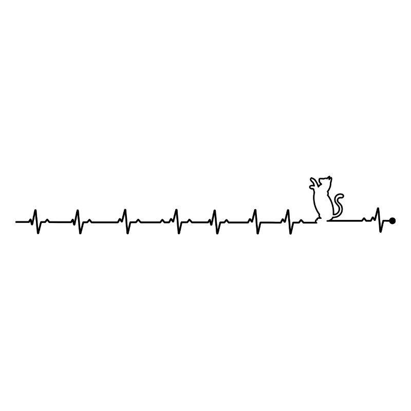 Chat battant de cœur