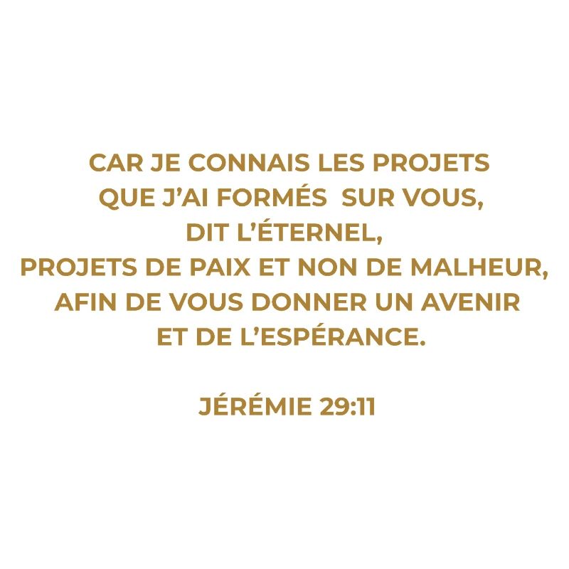 JÉRÉMIE 29 : 11 VERSET DE LA BIBLE - Version Or